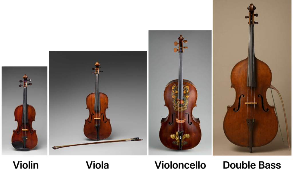Classical period string section including violin, viola, cello, and double bass arranged in their central orchestral positions, representing the core foundation of Classical orchestration.
