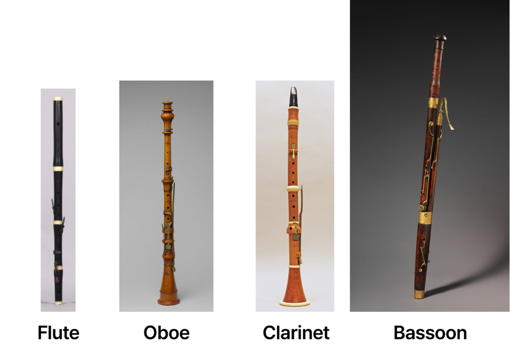 Classical woodwind section featuring pairs of flutes, oboes, clarinets, and bassoons placed behind the strings, reflecting their role as independent melodic voices in Classical orchestration.